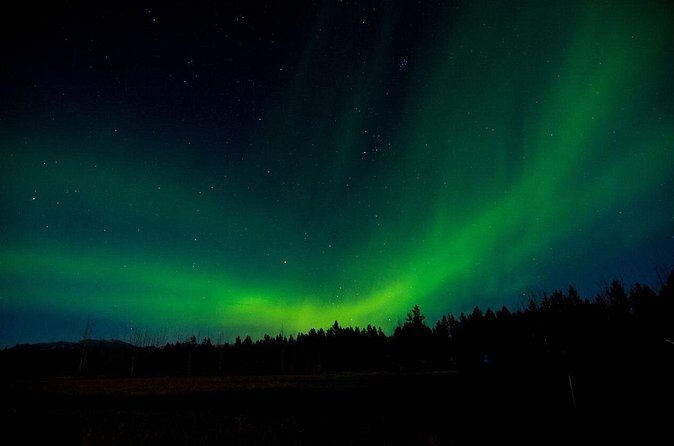 Aurora Borealis Quest: Private Yukon Nighttime Tour - What’s Included and What’s Not