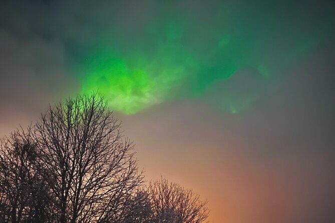 Aurora Hunt with BBQ in Rovaniemi - A Detailed Look at the Aurora Hunt Experience in Rovaniemi
