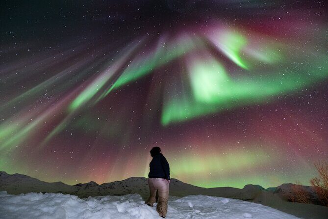 Aurora Hunt with Professional Photographer from Alta - A Detailed Look at the Experience