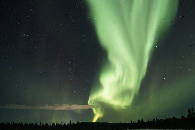 Aurora Hunting Photo Tour from Rovaniemi with Pickup - What the Reviews Reveal