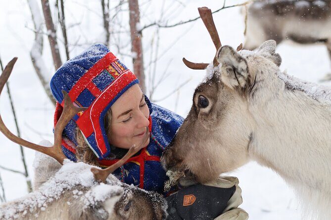 Aurora Hunting with Reindeer Caravan - The Experience in Detail