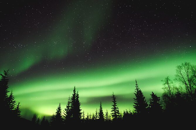 Aurora Lodge Viewing - In-Depth Review: What to Expect from Aurora Lodge Viewing