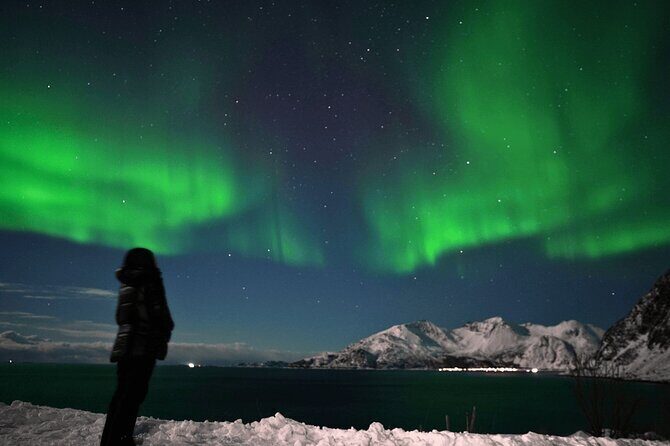 AURORA Northern Lights 8 HOURS Relaxed Moments (8 people)+photos - A Close Look at the Northern Lights Tour in Tromsø