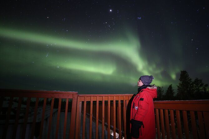 Aurora Station Aurora Viewing - The Sum Up: Is It Worth It?