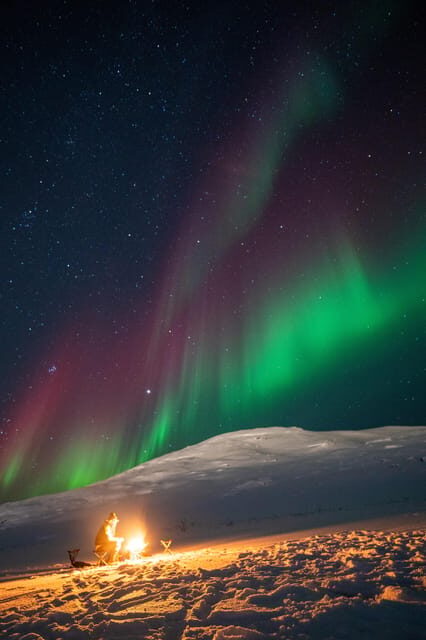 Aurora Tour For All with Tromsø Accessible Tours - Final Thoughts