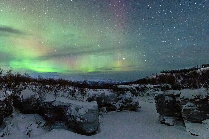 Aurora Tour with Dinner in Abisko - Discover the Aurora Tour with Dinner in Abisko: An Authentic Arctic Experience