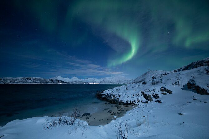 Auroras Hunt - Tour in Spanish, Northern Lights Chase in Spanish - An Authentic Arctic Adventure: Aurora Hunting with Northern Norway Travel