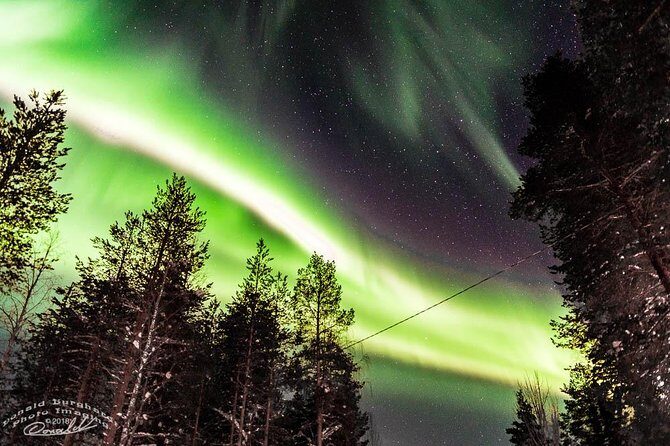 Auroras - Northern Lights Tours by Aurora Experts - Rovaniemi - Rovaniemi’s Northern Lights Tour by Aurora Experts: A Practical Guide