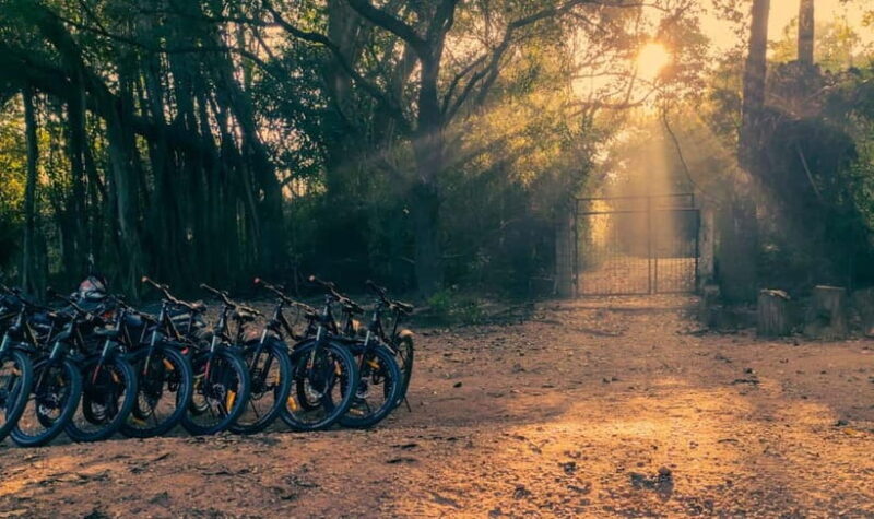 Auroville: Nature Trail Forest Cycling Adventure - Auroville: Nature Trail Forest Cycling Adventure