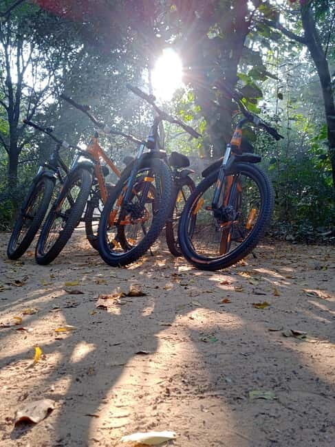Auroville: Nature Trail Forest Cycling Adventure - Key Points