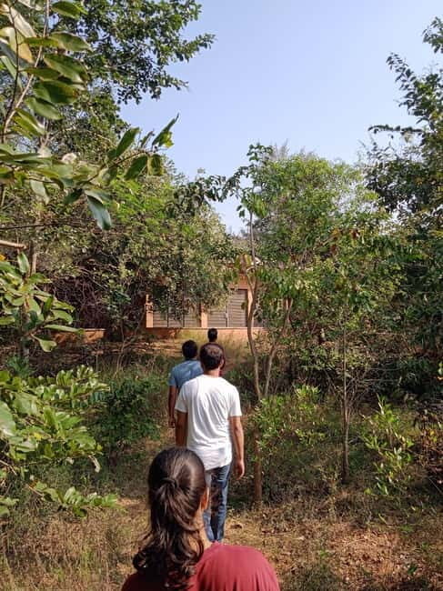 Auroville: Nature Trail Forest Cycling Adventure - Why This Tour is a Great Value