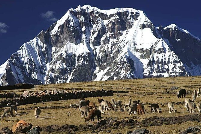 Ausangate Trek - Day 2: Reaching the Ausangate Summit