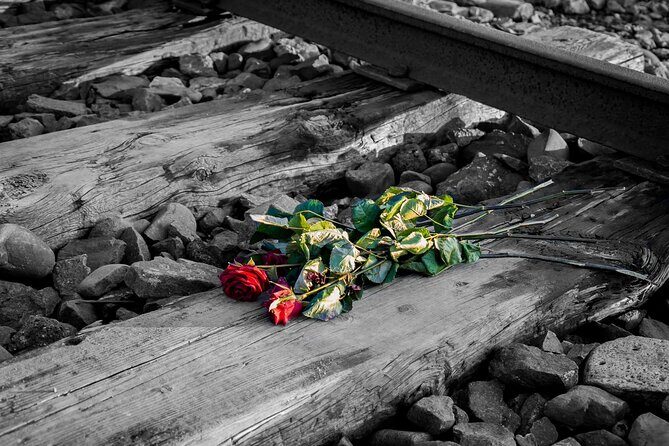 Auschwitz Birkenau and Salt Mine Full Day Guided Tour from Krakow hotel pick up - Who Would Love This Tour?