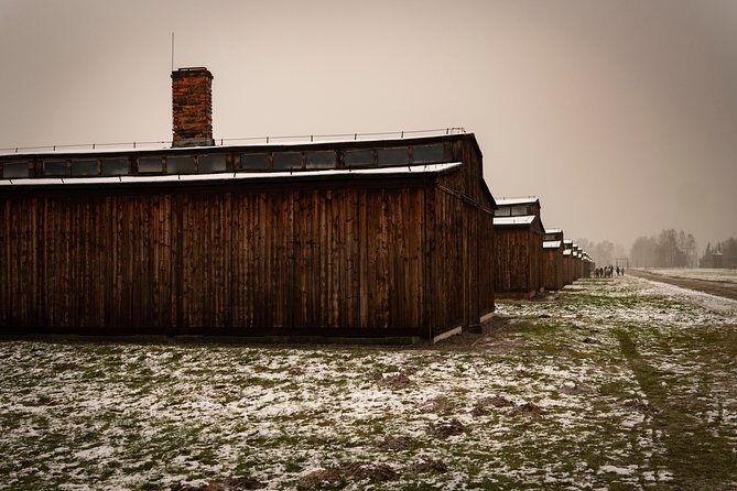 Auschwitz-Birkenau and Wieliczka Salt Mine Day Tour from Krakow with private car - Pricing and Value