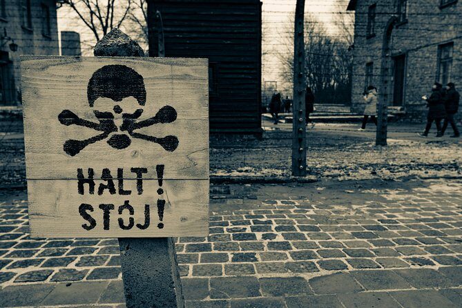 Auschwitz-Birkenau and Wieliczka Salt Mine Day Tour from Krakow with private car - Who Should Consider This Tour?