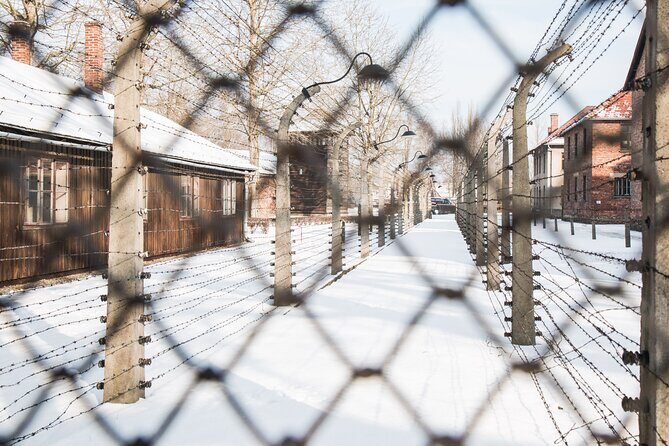 Auschwitz-Birkenau and Wieliczka Salt Mine Full Day Tour - What’s the Real Value?
