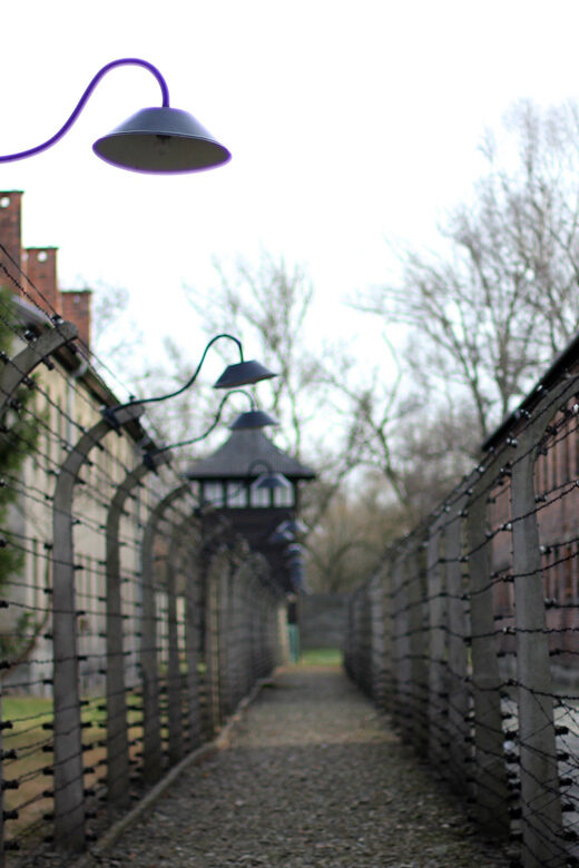 Auschwitz-Birkenau Full-Day Tour from Lodz by Private Car - Key Points