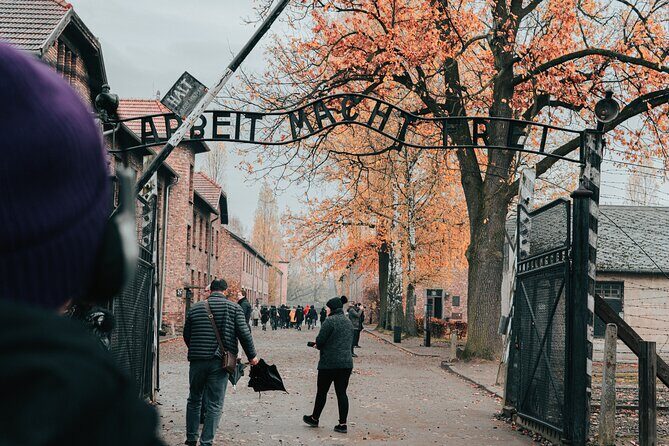 Auschwitz Birkenau guided tour from Krakow private chauffeur - Key Points