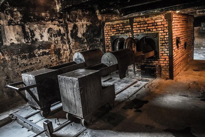 Auschwitz & Birkenau Live Guide Tour Entrance Ticket - Key Points