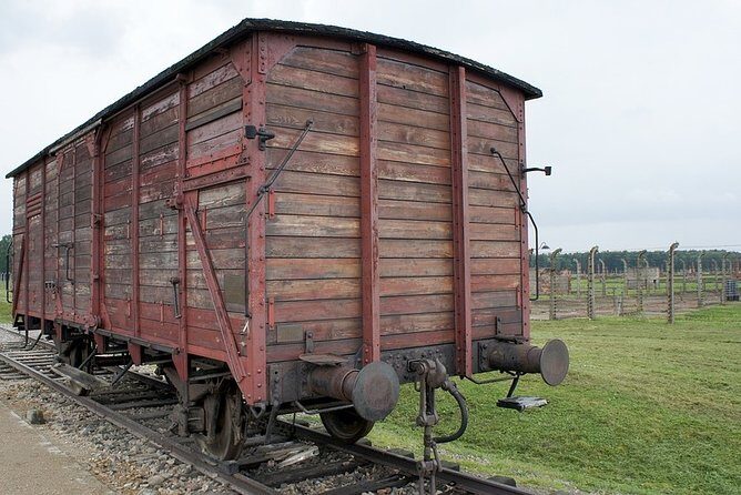 Auschwitz-Birkenau Live Guided Tour and Transfer from Krakow - Final Thoughts: Who Is This Tour Best For?