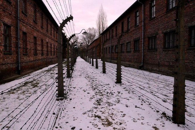 Auschwitz Birkenau Memorial and Museum group tour from Krakow - What’s Included and What’s Not