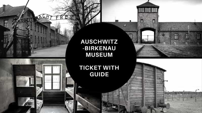Auschwitz-Birkenau: Memorial Entry Ticket and Guided Tour - Who Will Benefit Most?