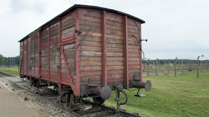 Auschwitz-Birkenau Museum Tour from Krakow - Exploring the Auschwitz-Birkenau Tour in Detail
