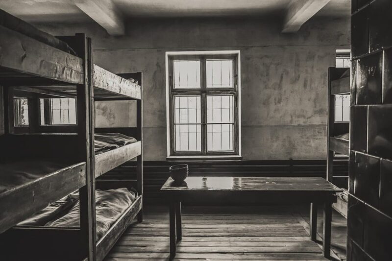 Auschwitz-Birkenau & Salt Mine Tour in One Day from Krakow - Key Points