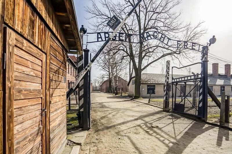 Auschwitz-Birkenau Skip-the-Line Guided Tour - Who Should Consider This Tour?