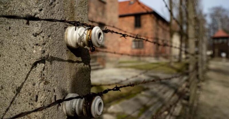 Auschwitz-Birkenau Skip-the-Line Ticket and Guided Tour - Key Points