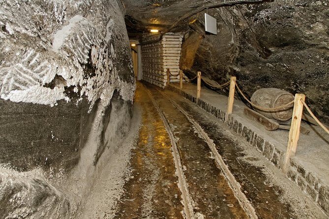 Auschwitz & Wieliczka ONE DAY Guided Tour +Private Transportation - Final Thoughts