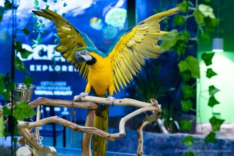 Austin Aquarium Entry Ticket - A Closer Look at the Austin Aquarium Experience