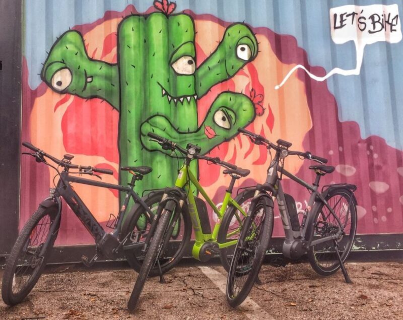Austin: Electric Bike City Sightseeing Tour - An In-Depth Look at the Austin Electric Bike Tour