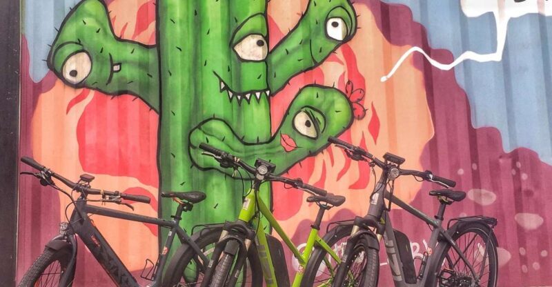 Austin: Electric Bike City Sightseeing Tour - FAQs