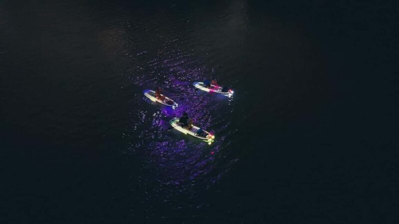Austin: Glow Paddleboard Tour - Who Will Love This Experience?