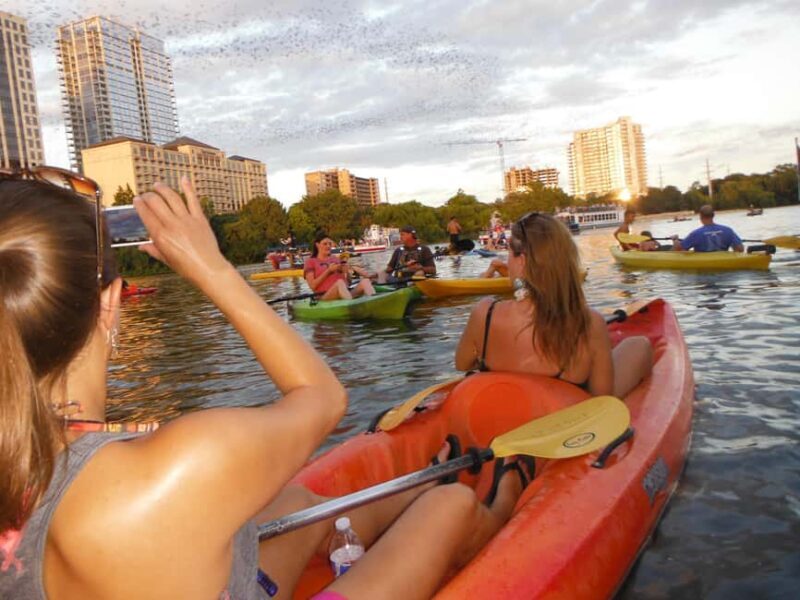 Austin: Guided Bat-Watching Kayak Tour - The Experience in Detail