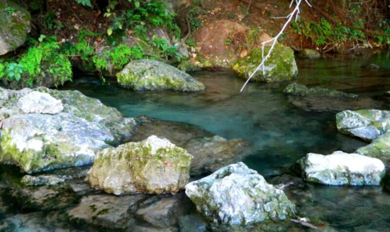 Austin: Journey to the Springs Guided Tour - Deep Dive: What Makes This Tour Stand Out?