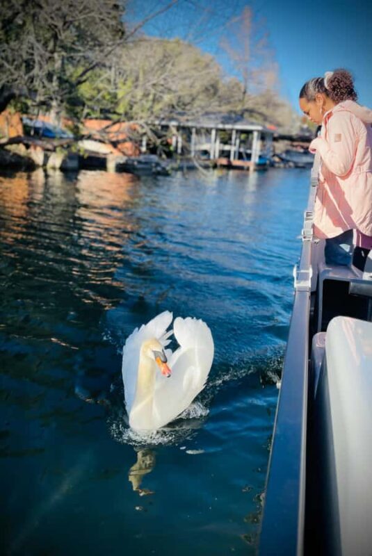 Austin: Lake Austin Private Boat Cruise - Full Sun Shading - Who Will Love This Experience?