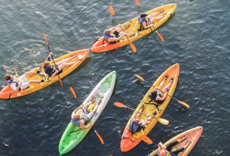 Austin: Single or Double Kayak Rental - The Authenticity and Value of a Self-Guided Kayak