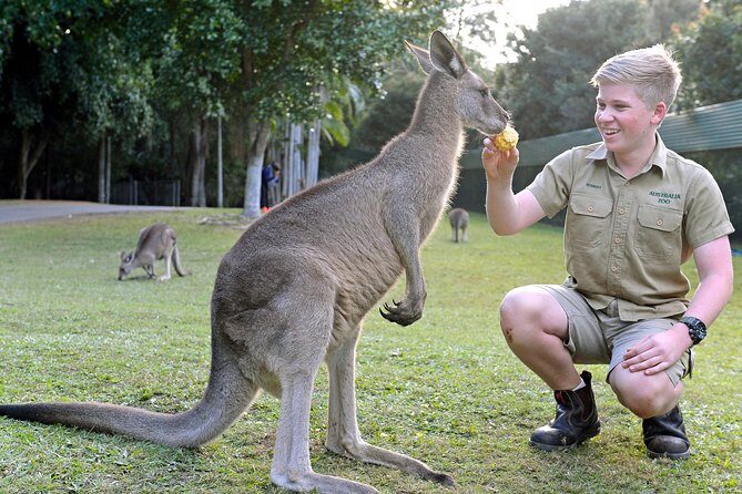 Australia Zoo Day Trip from Brisbane - Australia Zoo Day Trip from Brisbane: A Complete Review
