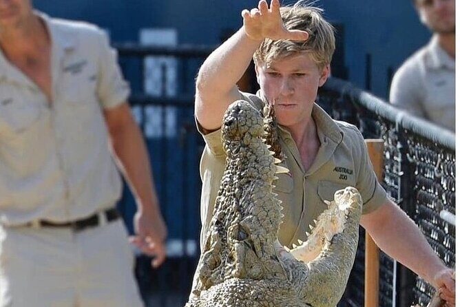 Australia Zoo Day Trip from Brisbane - The Sum Up: Why Choose This Tour?