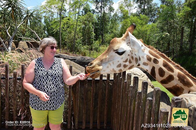 Australia Zoo Day Trip from Brisbane - FAQ: Your Questions About the Australia Zoo Day Trip