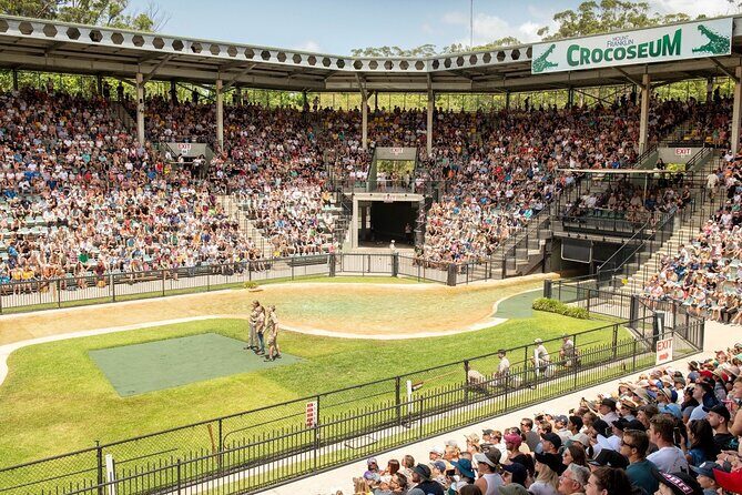 Australia Zoo Transfer from Noosa and Sunshine Coast - What Makes This Transfer Stand Out?