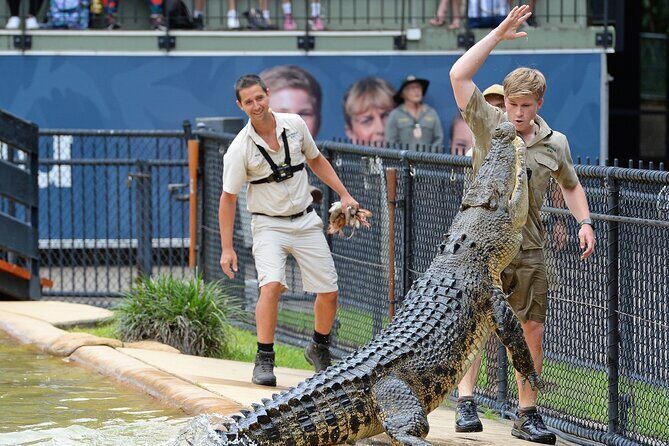 Australia Zoo Transfer from Noosa and Sunshine Coast - Summary: Who Is This Tour Best For?