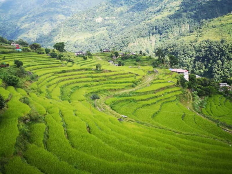 Australian Camp & Dhampus: 2-Day Private Trekking Tour - Final Thoughts: Is This Trek Right for You?