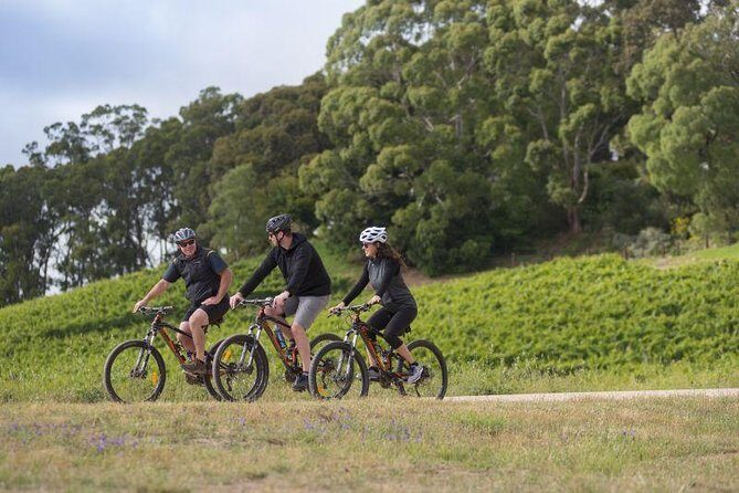 Australian Wine Discovery Tour Ticket - The Practical Details