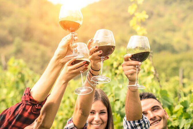 Australian Wine Masterclass - Final Thoughts – Why This Tour is a Solid Choice