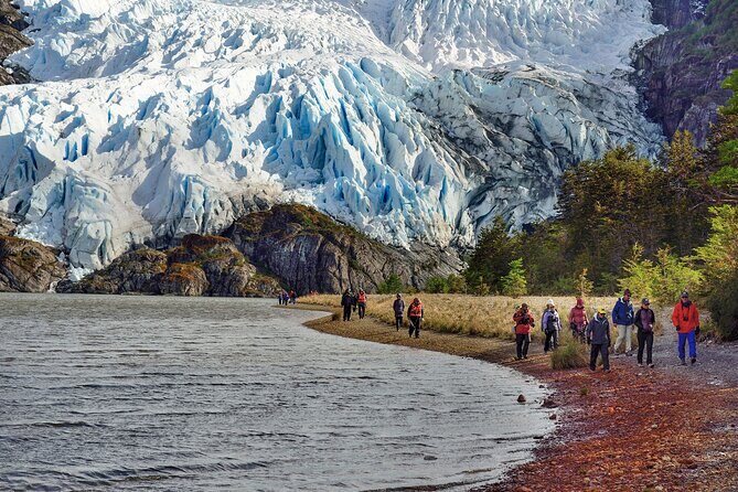Australis Cruise at the End of the World Ushuaia to Punta Arenas - Authentic Experiences and What Travelers Say