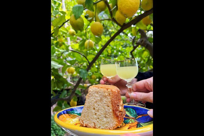 Authentic Amalfi Lemon Tour & Tasting in the Historical Garden - An In-Depth Look at the Amalfi Lemon Tour & Tasting