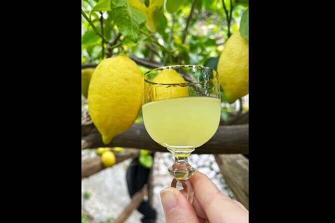 Authentic Amalfi Lemon Tour & Tasting in the Historical Garden - Final Thought: Is It Worth It?